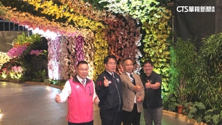 台灣國際蘭展週六後壁登場！15萬株爭艷　打造藝術.生態空間