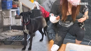 遛狗遭黑狗追咬人犬雙掛彩　女控鄰「漠不關心」提告