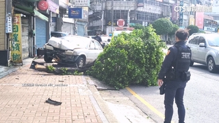 中壢車禍！駕駛突失控自撞樹　同路段「一週2意外」