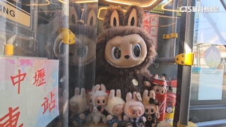 滿滿泡泡瑪特IP！　桃園超可愛公車　網路掀話題