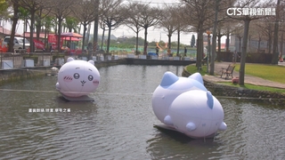 花節爆用「盜版」吉伊卡哇　學甲區長：涉侵權已移除