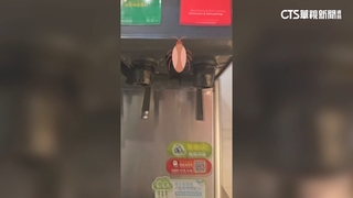 燒烤店飲料機有蟑螂！　業者致歉　自主停業消毒