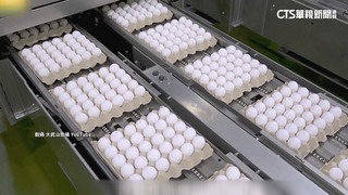 雞蛋股「大武山」雞舍火警　設備受損估影響6個月營運