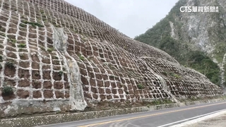太魯閣震後復育有成！　驚喜見原生植物「苗頭」