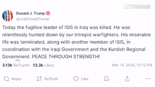 美軍聯手伊拉克　空襲擊殺伊斯蘭國領袖