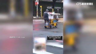 雞蛋糕電動攤車秒收攤　「馬路風火輪」可罰3600