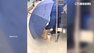 北捷車廂內開傘偷吃炸物　男最高挨罰7500元