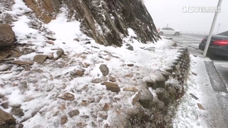 一片白茫茫！　合歡山-1度　松雪樓.小風口下冰霰