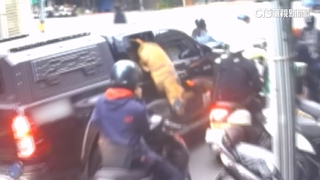 「累犯」比特犬又跳窗咬傷騎士遭沒入　飼主兒道歉