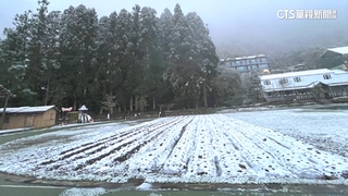 新竹尖石下雪！　新光國小.司馬庫斯分校停班課1天