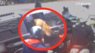 比特犬Lucky二度咬傷人遭沒入　網揪疑點多「非自行開窗」