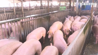 我申請豬瘟非疫國獲「建議同意」　最快5月通過！