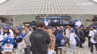 東京賽「金雞母」　周邊商品.球員卡熱賣13.2億台幣