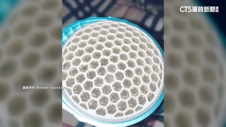 蚊子剋星+1！　網推「吹風機入風口吸蚊」百發百中？