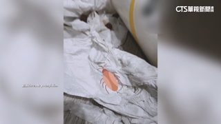 知名茶飲店飲料見蟑螂！　衛生局稽查　業者：加強清消