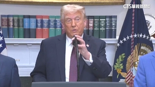 川普將徵對等關稅　傳將排除特定產業關稅