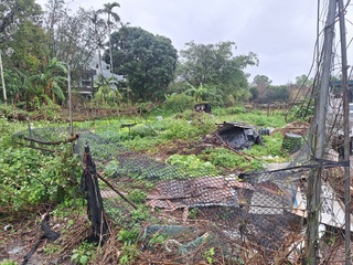 「交通欠款大戶」欠70萬不繳　名下近千萬菜園遭法拍