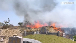 清明節掃墓燒雜草「天在看」　彰化開出首張罰單