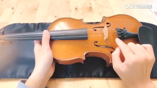 砸百萬買提琴是假貨？！　家長告教授　法院判詐欺