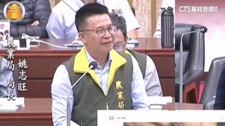 高雄市疑「驅避劑」害鳥傷亡　農業局長回「燕子滑倒」掀議