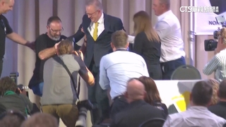 澳總理出席競選活動　舞台上慘摔一跤