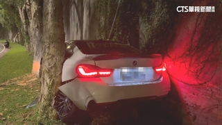 砰！　內湖自小客車失控撞路樹　2人擦挫傷.排除酒駕