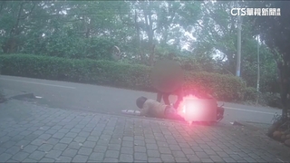 別想逃！　騎士闖燈被攔　逃逸撞警車自摔被逮