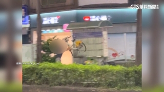 抬YouBike猛扔！男沿路咆嘯踹車　嚇壞目擊民眾