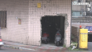 大樓外牆「鑿出大洞」　網驚呼：生命自己找出路？