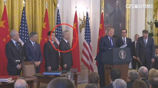 英媒：習近平法辦「太子黨」　劉鶴之子涉貪被捕