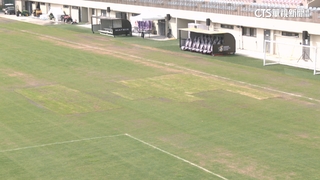 場地掉漆？中華女足與紐西蘭賽事　因場地問題取消