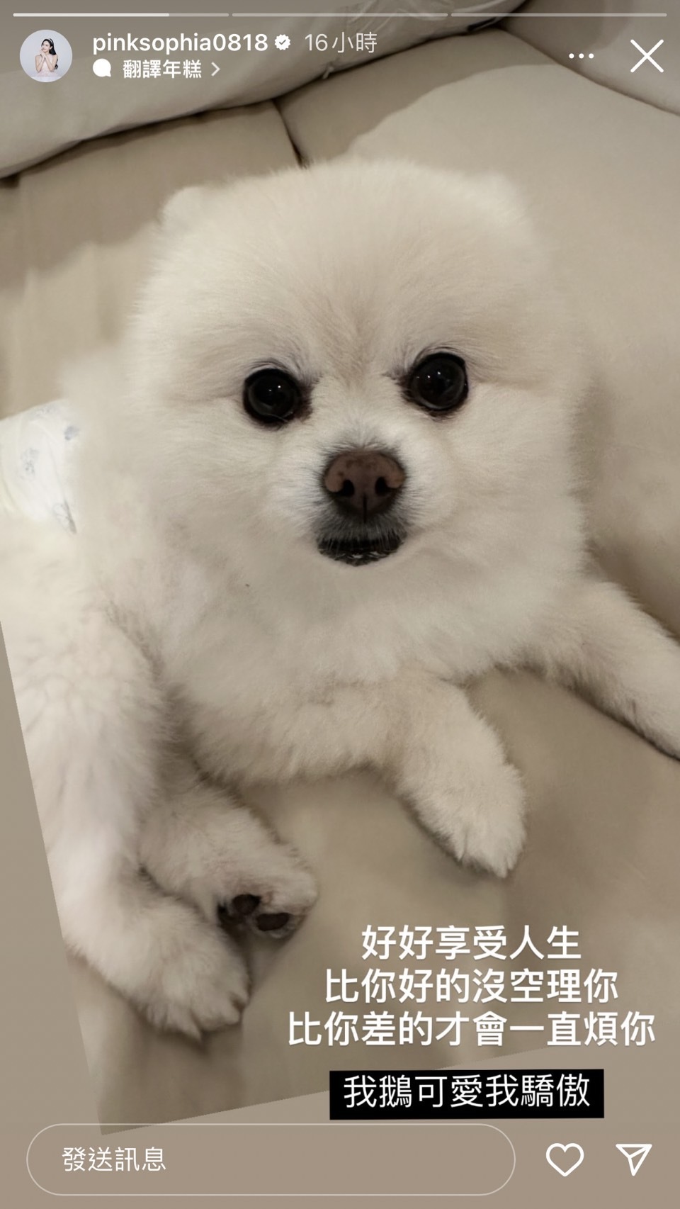 王思佳透過IG限動發表心情。圖/翻攝自IG@pinksophia0818