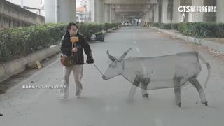 網路暴紅神祕景點「橋下小人國」　阿公10年心血遭破壞成廢墟