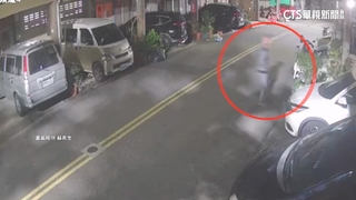 夜賊1週偷2回！　損近萬元鹿角蕨　屋主氣：整碗端走