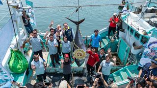 2025屏東第一鮪重達224公斤　總價230萬7200元得標