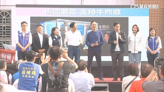 罷免熱戰3藍委將邁第3階　藍桃宣講猛打「綠共諜案」