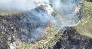 陽明山火災延燒50公頃　北投、士林等4區緊閉門窗、外出戴口罩