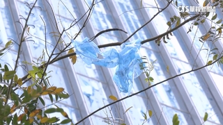 全台中最高「台中之鑽」塑膠貼膜四散　監造：風大亂吹