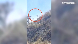 增救援難度！小油坑天氣乾燥.位置偏僻.取水點遠