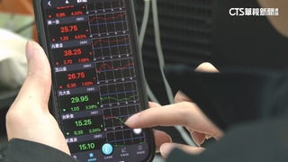 川普關稅政策彈性擴大　台股汽車.蘋果股多檔收紅