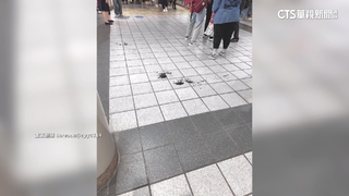 互不認識！　北捷石牌站乘客遭背刺「血濺月台」　嫌被逮