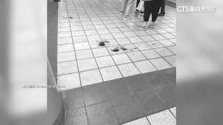 捷運驚魂！女石椅候車背部被刺傷　嫌當場遭逮