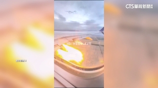 聯合航空引擎爆炸起火急迫降　凶手竟是「兔子」！