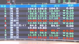 台股早盤跌逾270點　終場19338點.跌129點收盤