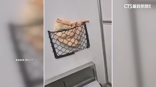 火車上「抖動塑膠袋」嚇壞旅客！　驚見疑遭棄置鸚鵡