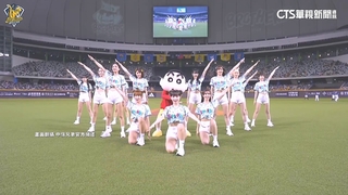 中信「蠟筆小新」主題日吸「金」　啦啦隊嗨跳主題曲