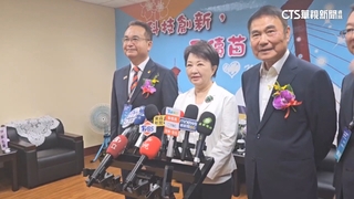 爭取黨魁第一步？　盧秀燕：426願意「挺身而出」