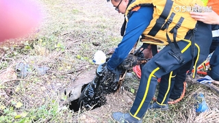 草堆隱藏廢棄油槽！男割草跌落　全身黑如「猛毒」