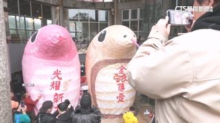 今蛇年蛇月蛇日蛇時「四蛇同框」　專家：破困局吉時