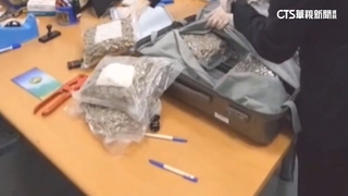 港男入境攜6公斤大麻花　被逮稱「代購水晶」